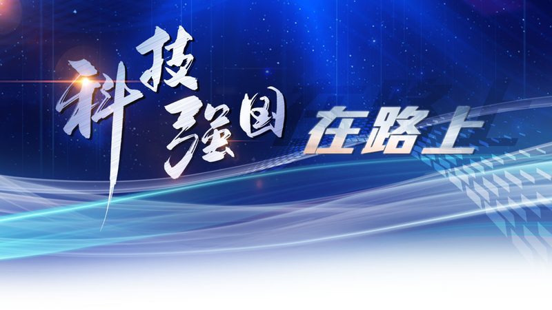 数据可视化图表类型解析：如何选择合适的图表展示数据之美