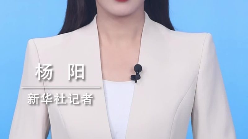 数据仓库报表开发：常见模型解析与应用